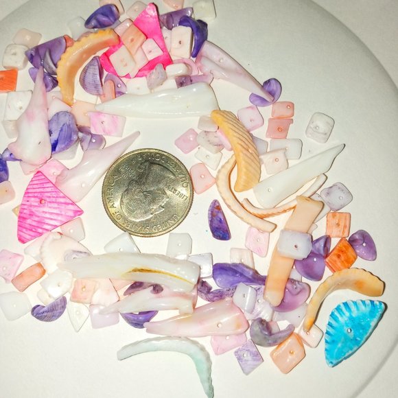 20 random puka shells See quarter for size reference NEW - Picture 4 of 4